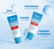 Lip Balm Original tubes with urea, lanolin, camphor, and menthol callouts