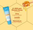 Graphic showing Dermal Therapy Lip Balm enriched with Manuka Honey with callouts for MGO 400+, urea, lanolin and petrolatum, plus a honey dipper.